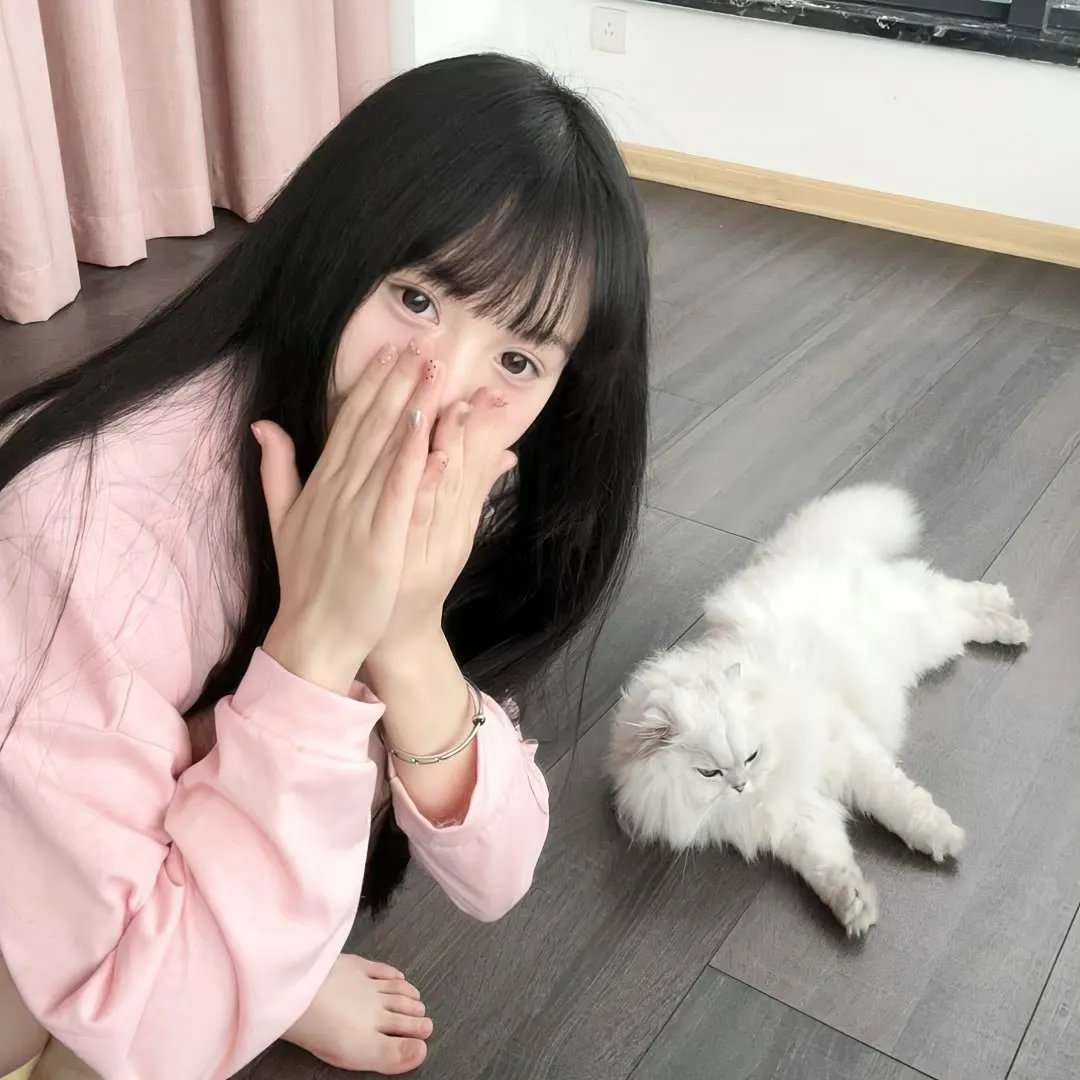顽猫斗俏鼠